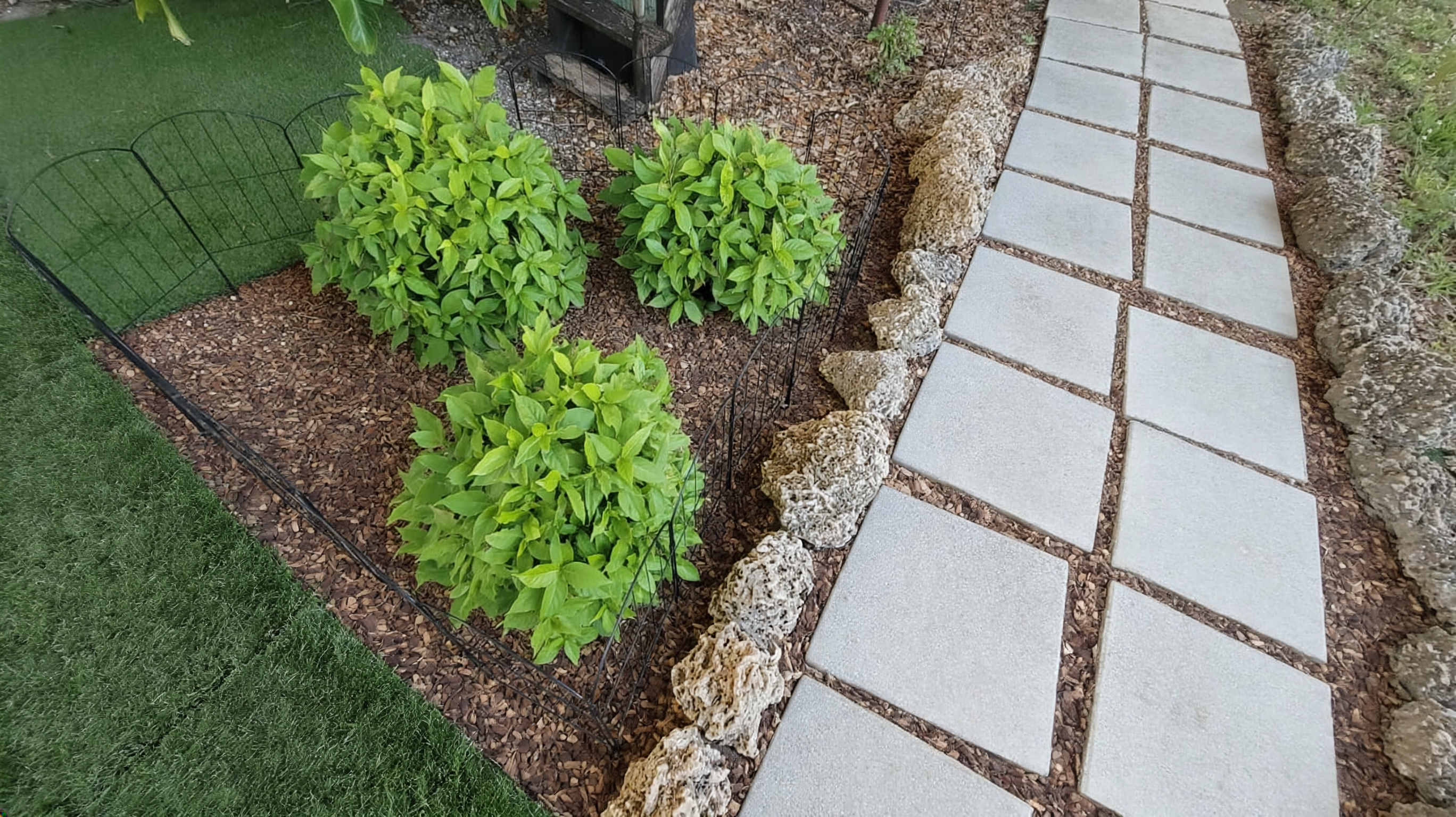 Property exterior with precision hedge trimming and lawn maintenance