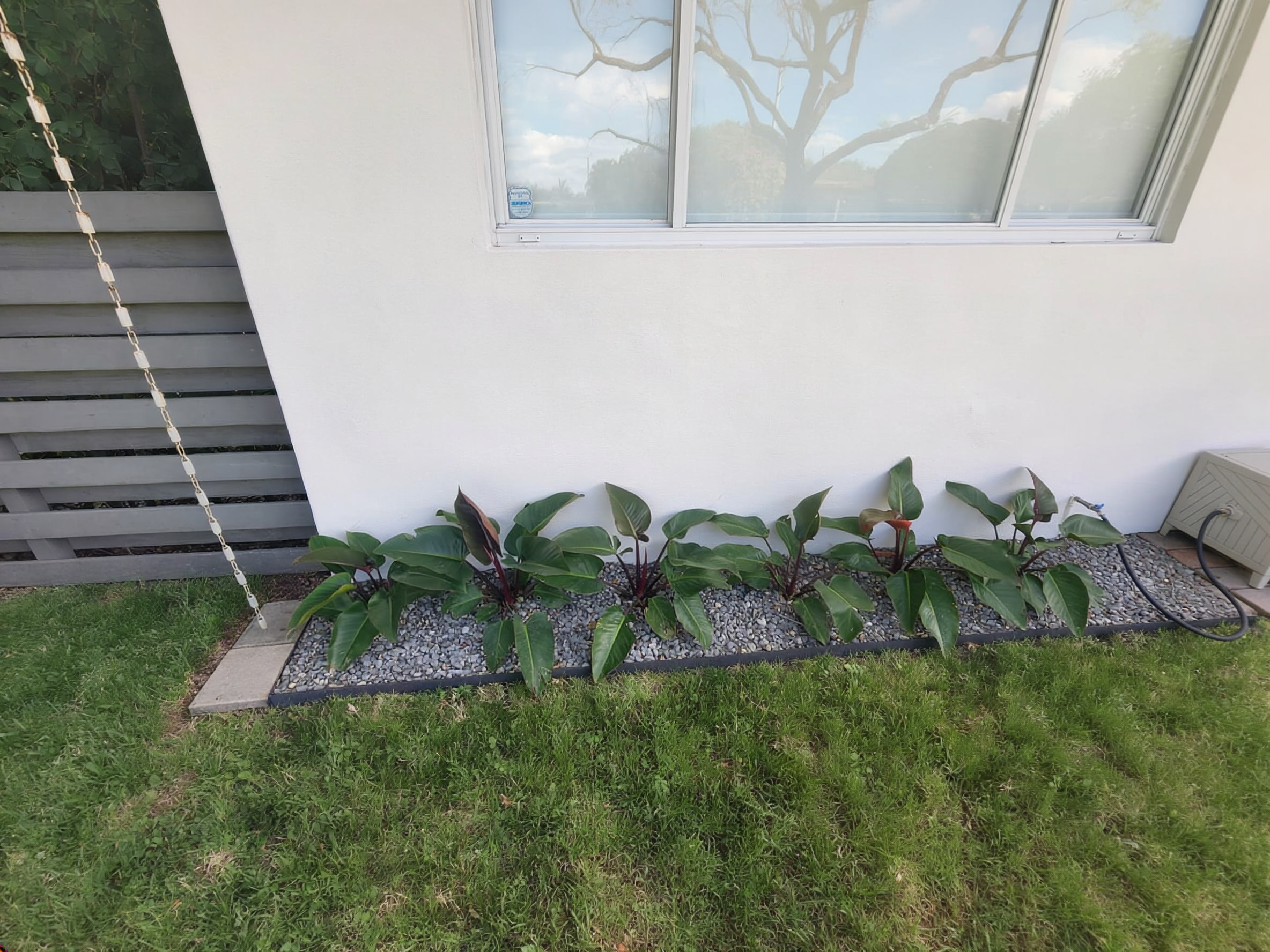 Residential property front exterior with fresh landscaping and young palms