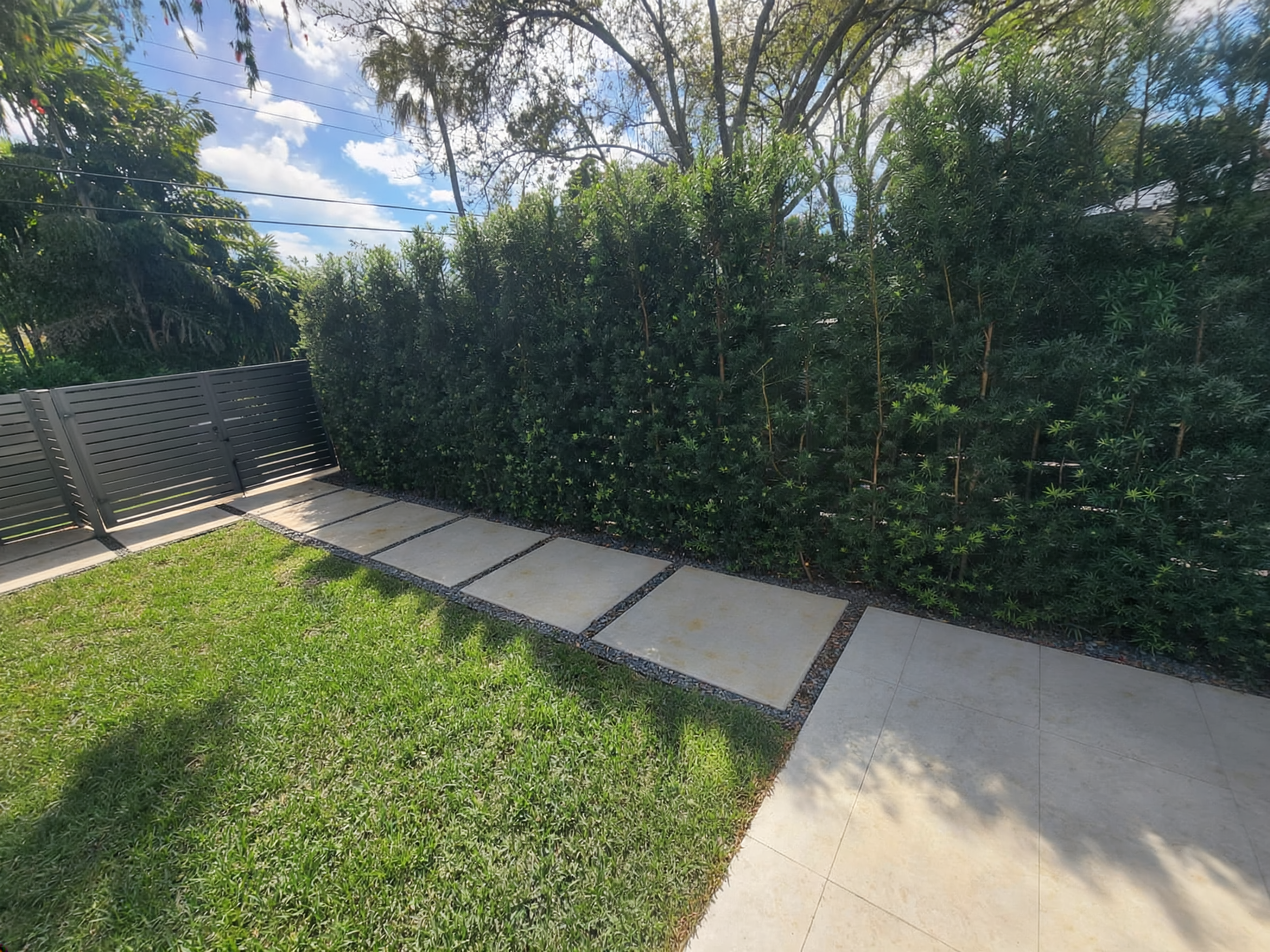 Backyard paver walkway with hedge wall and manicured lawn